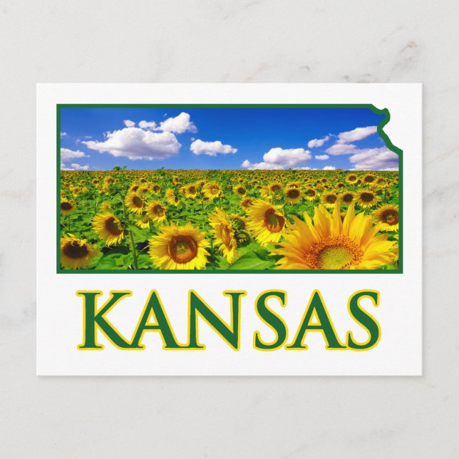 Kansas Solros Himlar Vykort (Framsida)