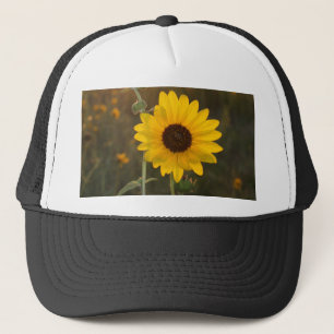 Kansas solros keps