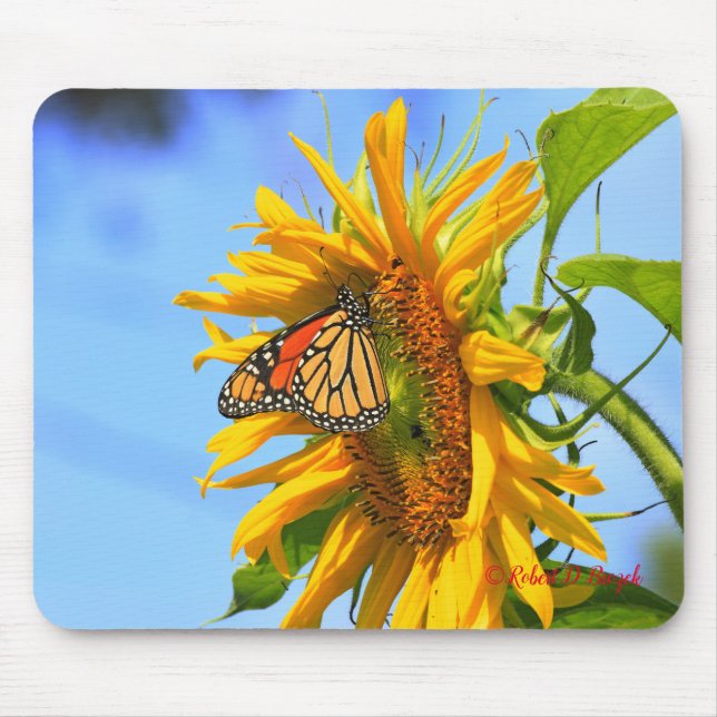 Kansas Solros med Monarch Butterfly Mouse Pad Musmatta (Framsidan)