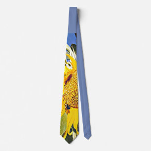 Kansas solros slips