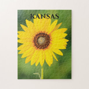 Kansas Solroscloseup Pussel
