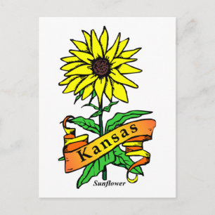 Kansas State Flower Vykort