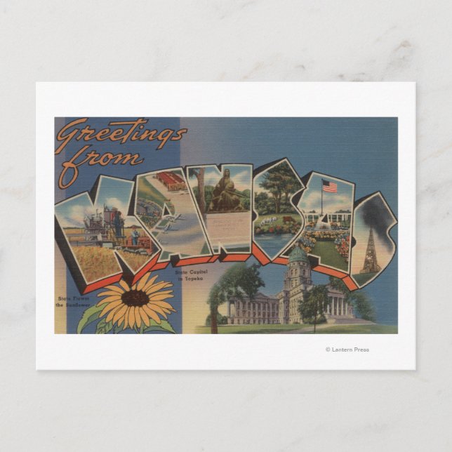 Kansas (statligt kapital/blomma) vykort (Framsida)