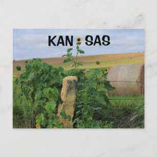 Kansas Stone Post med solroskort Vykort