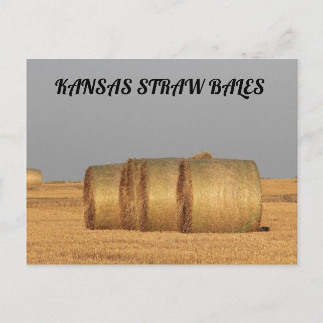 Kansas Straw Bales POST-kort Vykort (Framsida)
