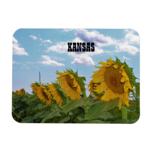 Kansas Sunblommor Magnet