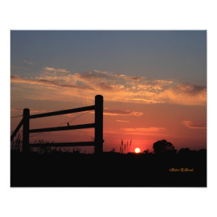 Kansas Sunset med ett staket Photo Print Fototryck