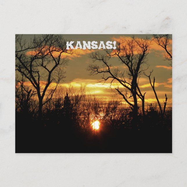 Kansas Sunset med moln och träd Post Card. Vykort (Framsida)