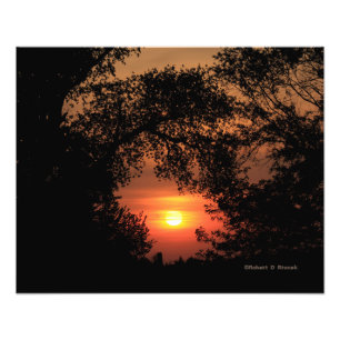 Kansas Sunset med Träd Fotoutvidgning Fototryck