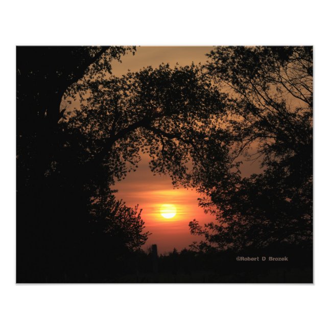 Kansas Sunset med Träd Fotoutvidgning Fototryck (Framsidan)