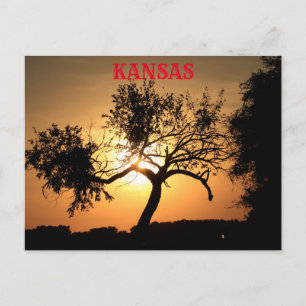 Kansas Sunset med träd-kort Vykort