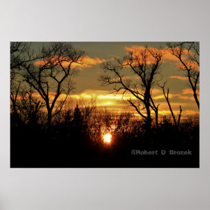 Kansas Sunset med Träd Silhouette, molnen Poster