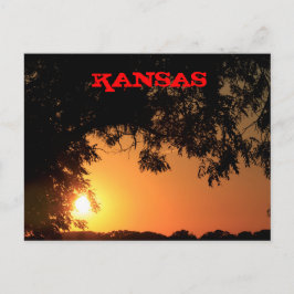 Kansas Sunset med Träd Silhouette-postkort Vykort