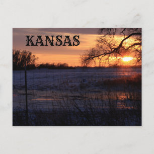 Kansas Sunset med Träd Silhouette-postkort Vykort