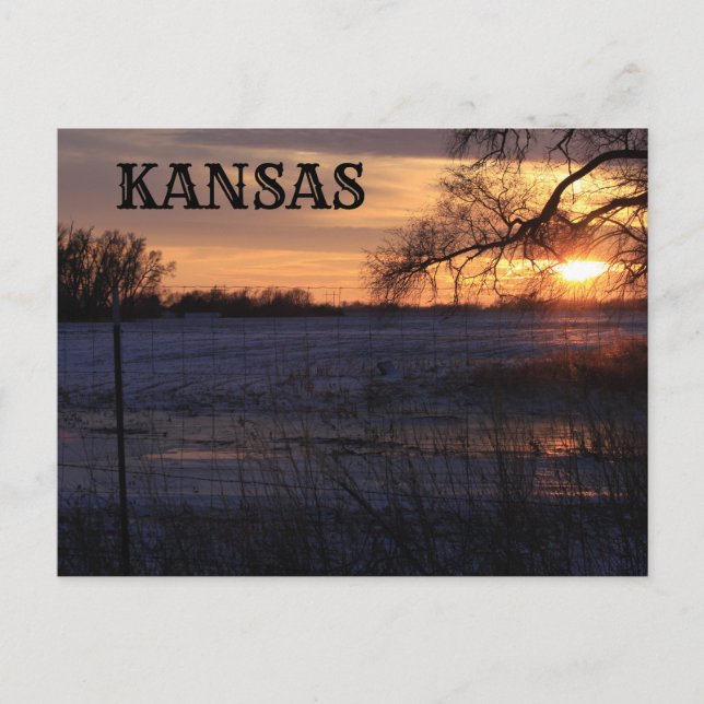 Kansas Sunset med Träd Silhouette-postkort Vykort (Framsida)