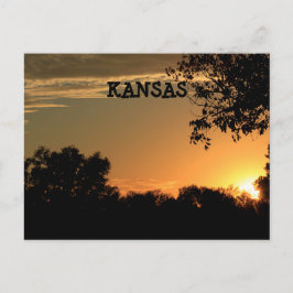Kansas Sunset med Träd Silhouette-postkort Vykort