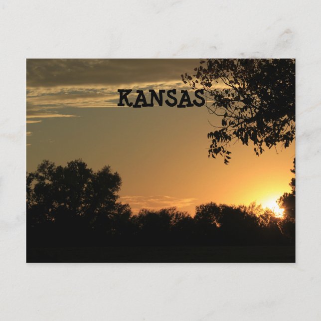 Kansas Sunset med Träd Silhouette-postkort Vykort (Framsida)