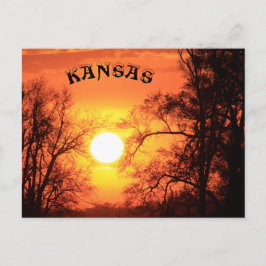 Kansas Sunset med Träd Silhouette-postkort Vykort