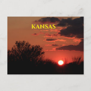 Kansas Sunset med Träd Silhouette-postkort Vykort