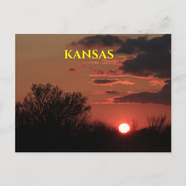 Kansas Sunset med Träd Silhouette-postkort Vykort (Framsida)