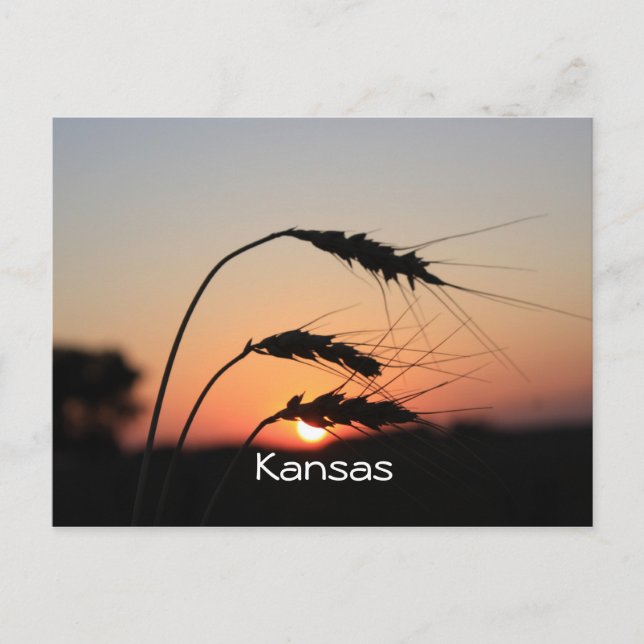Kansas Sunset vykort (Framsida)