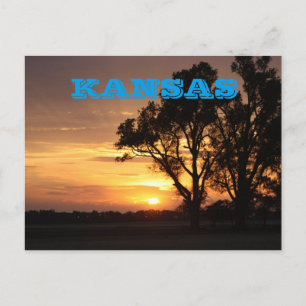 Kansas Sunset with träd Silhouette, POSTCARD Vykort