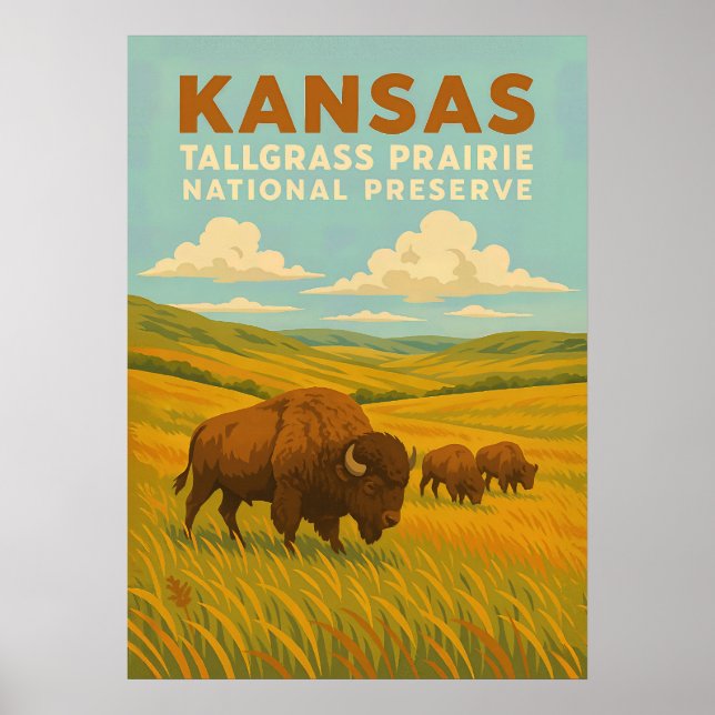 Kansas Tallgräs Prairie National Preserve V01 Poster (Framsidan)