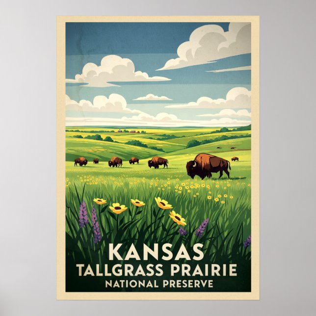 Kansas Tallgräs Prairie National Preserve V04 Poster (Framsidan)