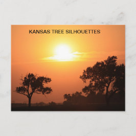 KANSAS TRÄD SILHOUETTES VYKORT