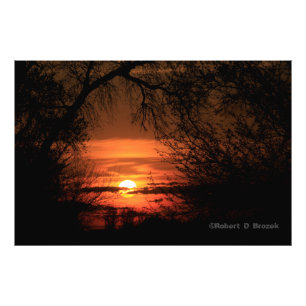 Kansas Träd Sunset Photo Poster. Fototryck
