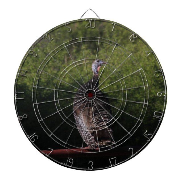 Kansas Turkey Dart Board Darttavla (Framsidan)