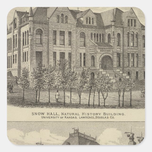 Kansas Universiteten Fyrkantigt Klistermärke (Framsida)