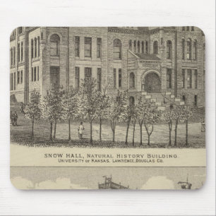 Kansas Universiteten Musmatta