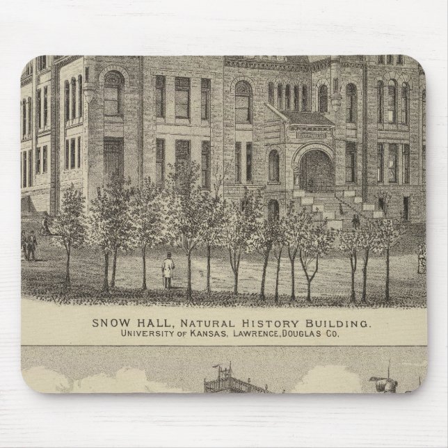 Kansas Universiteten Musmatta (Framsidan)