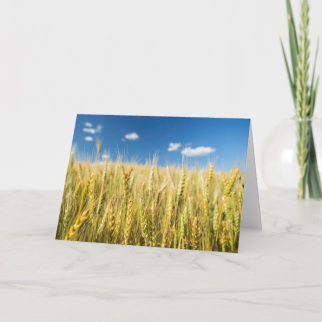 Kansas vete kort (Framsida)