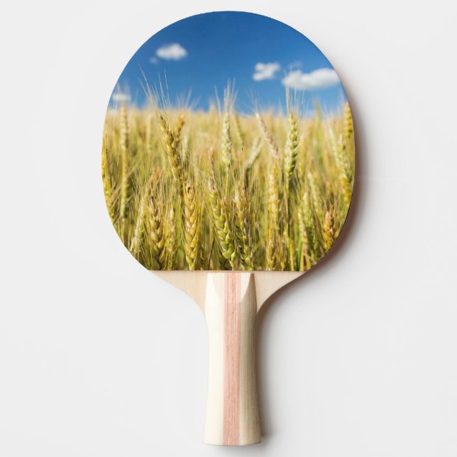 Kansas vete pingisracket (Framsidan)
