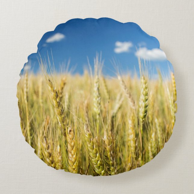 Kansas vete rund kudde (Framsidan)