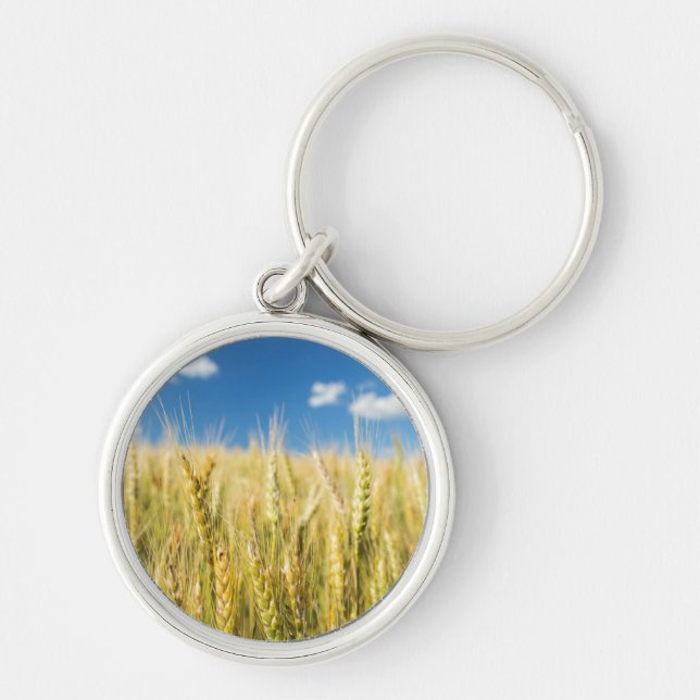 Kansas vete rund silverfärgad nyckelring (Framsidan)