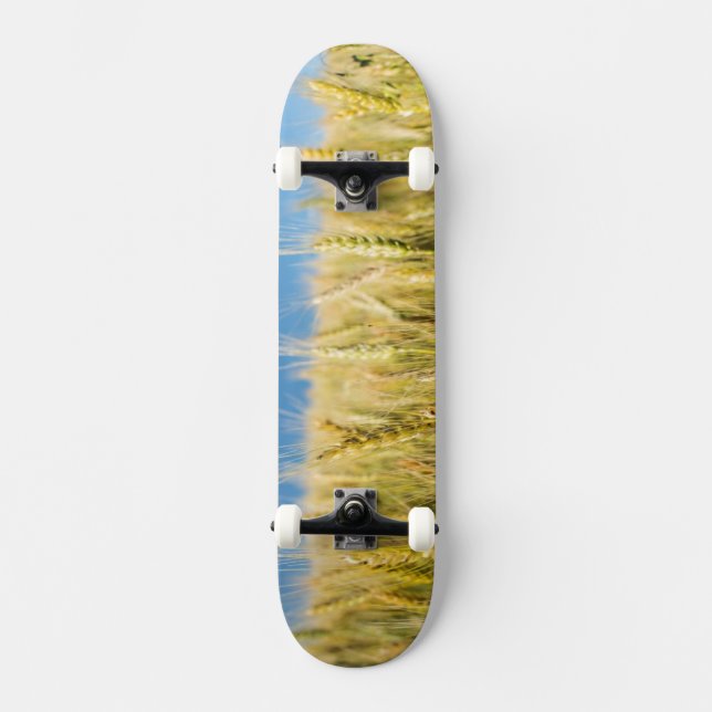 Kansas vete skateboard bräda 20 cm (Framsida)