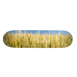 Kansas vete skateboard bräda 20 cm