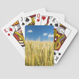 Kansas vete spel kort