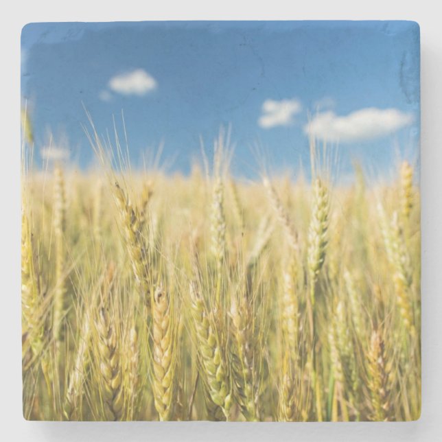 Kansas vete stenunderlägg (Framsidan)