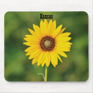 Kansas Vild Solros Musmatta