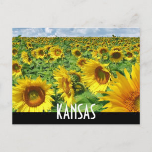 KANSAS VYKORT