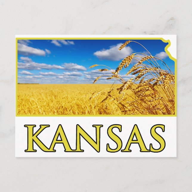 Kansas Wheat Fält Vykort (Framsida)