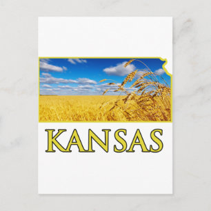 Kansas Wheat Fält Vykort