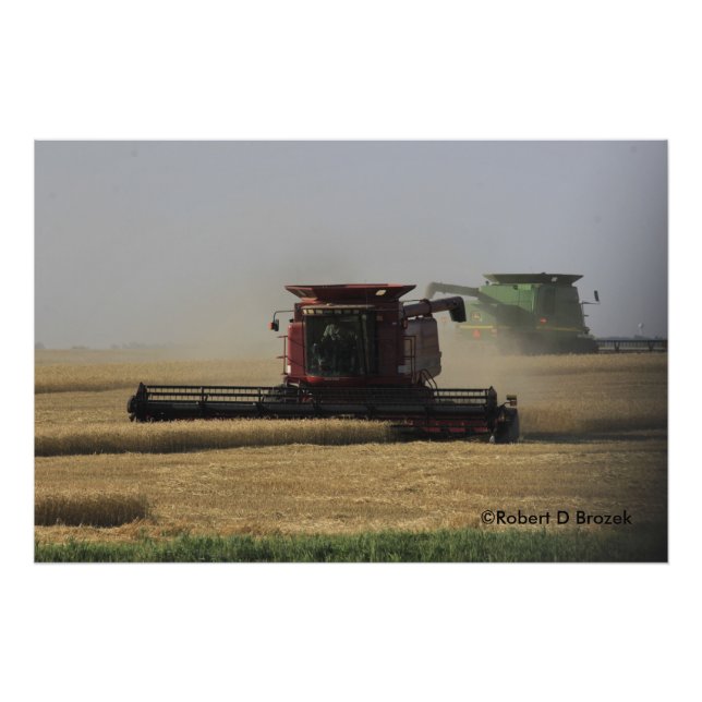 Kansas Wheat Harvest Foto Utvidgning (Framsidan)