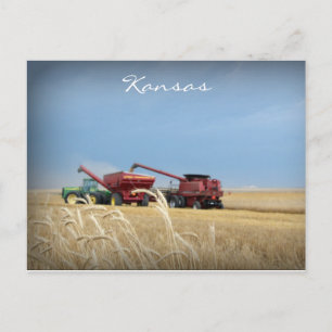 Kansas Wheat Harvest Postcard Vykort