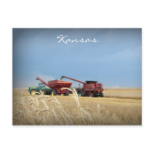 Kansas Wheat Harvest Postcard