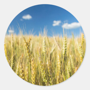 Kansas Wheat Runt Klistermärke